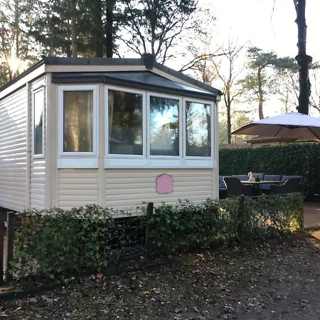 Prachtige Luxe Op De Veluwe Nabij